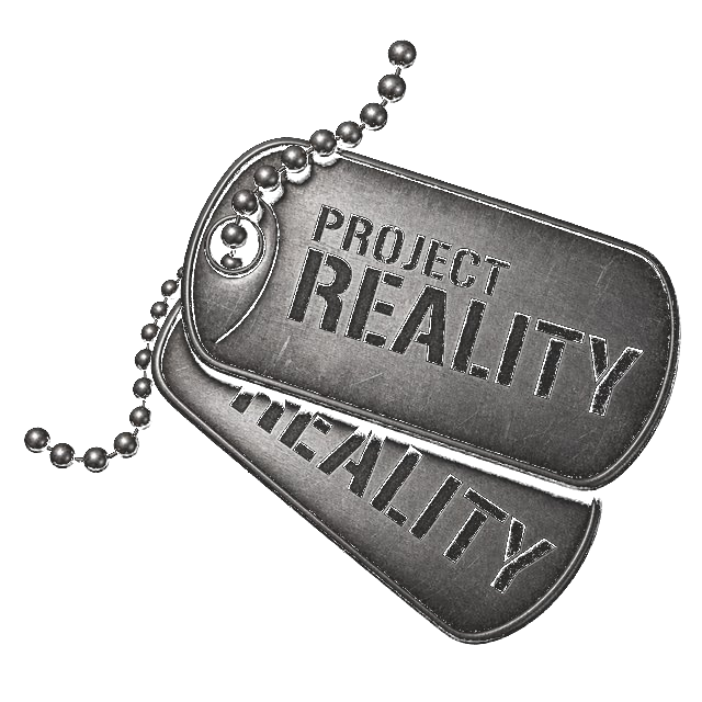 Project Reality