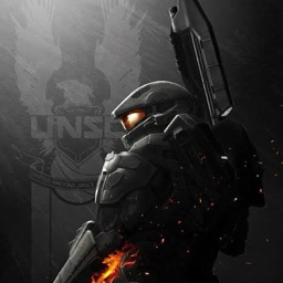 NOBLE 334