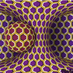 whattheh3ll