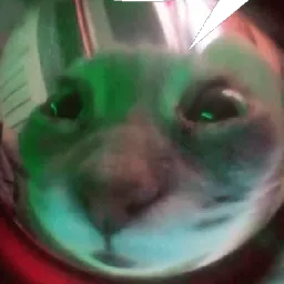 Xx_Z3T4_xX
