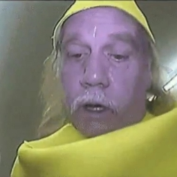 TheCreazy911